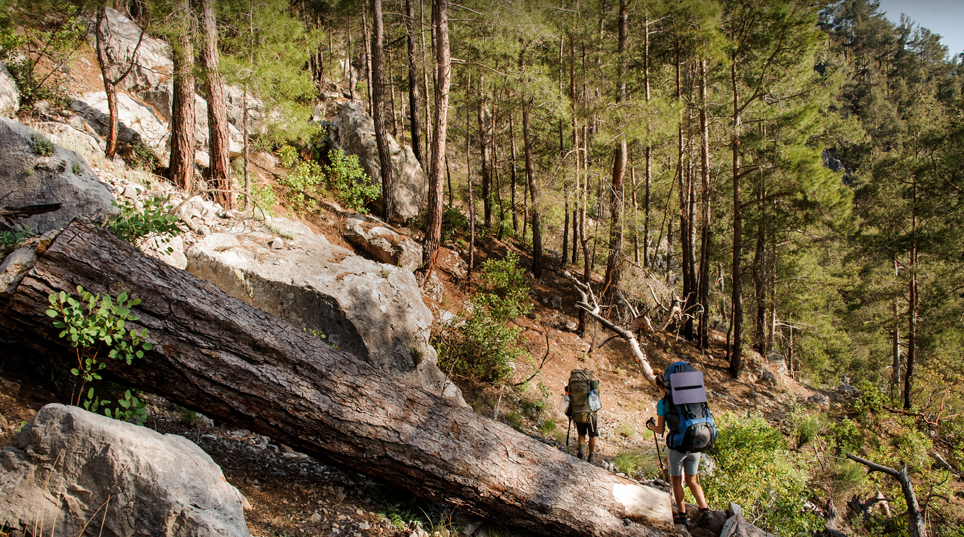 裝備到位，步伐更自由